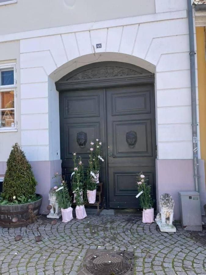 Apothekergaarden Stege B&B Exterior foto